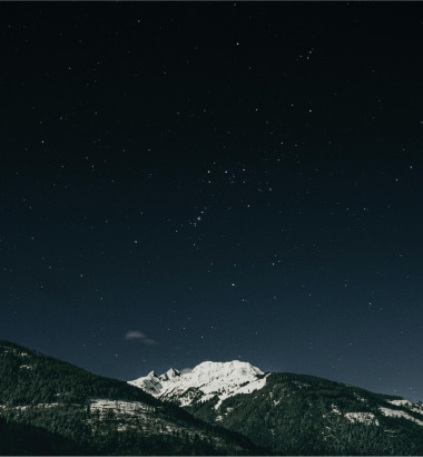 Lime Creative-Avittia