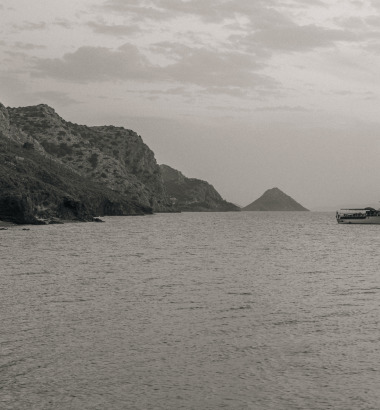 Lime Creative-Bellevalia hydra