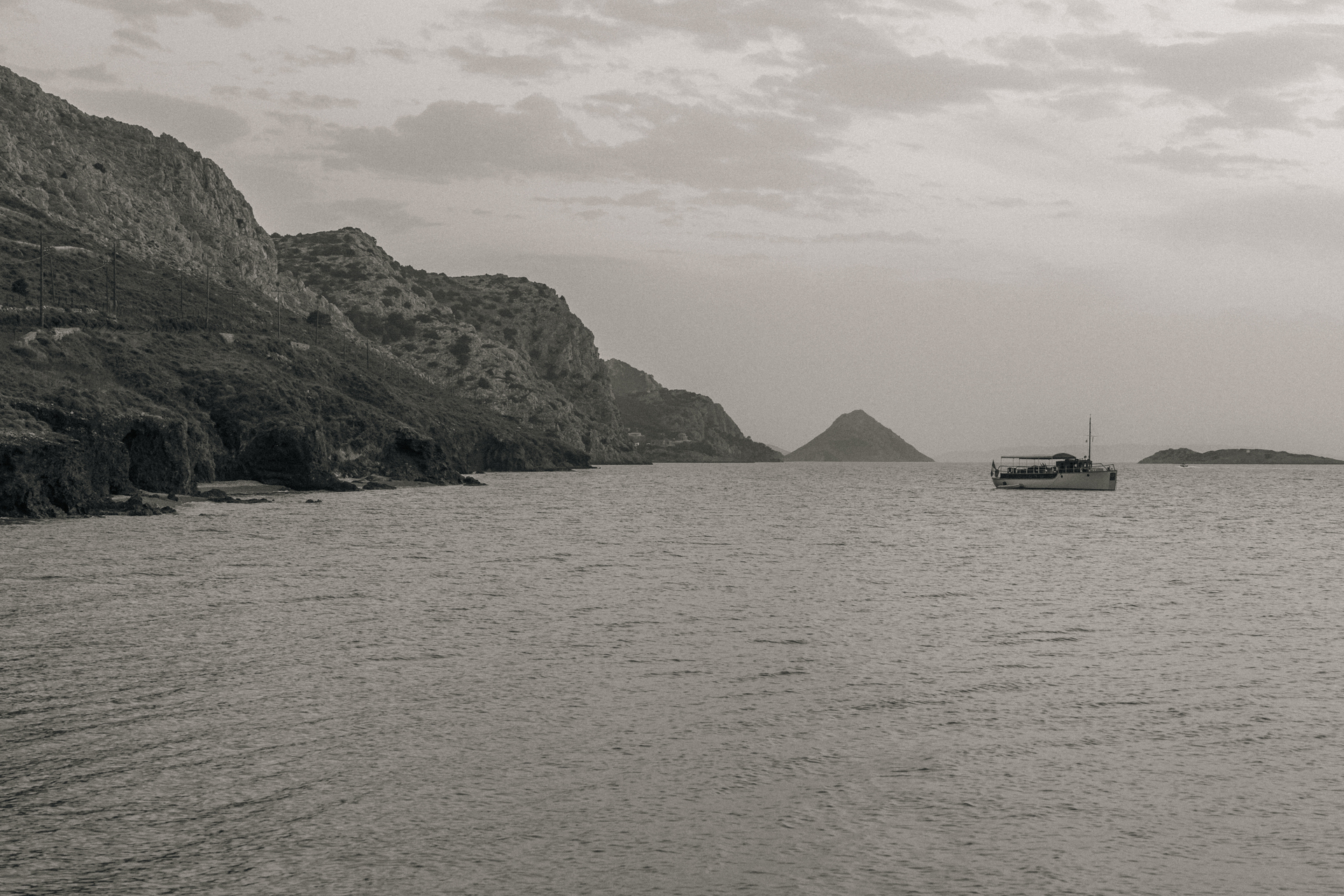 Lime Creative-Bellevalia hydra - Digital, Lime Creative