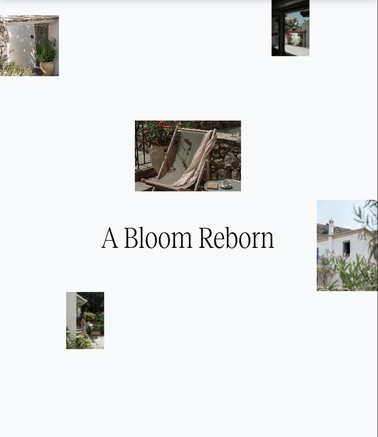 Lime Creative--Bellevalia hydra