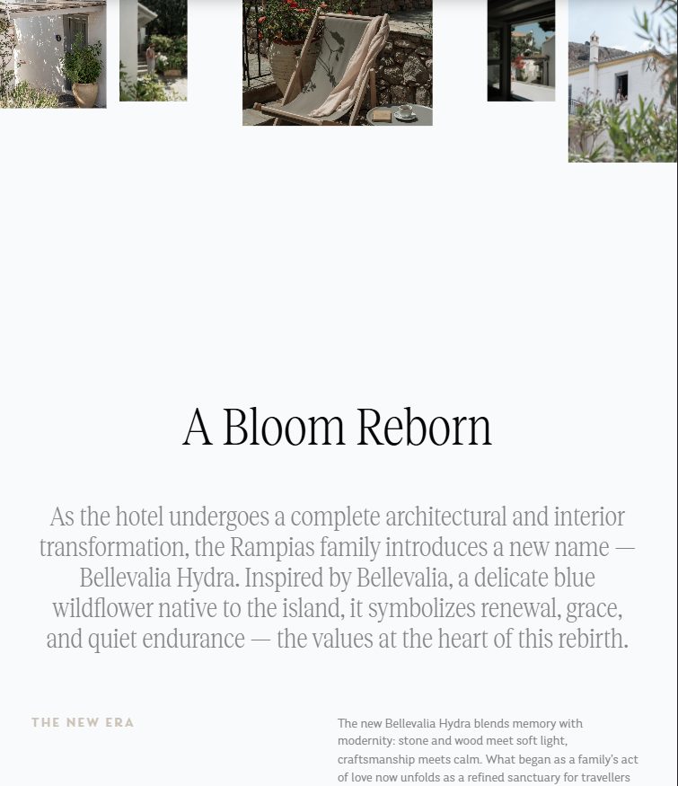 Lime Creative--Bellevalia hydra