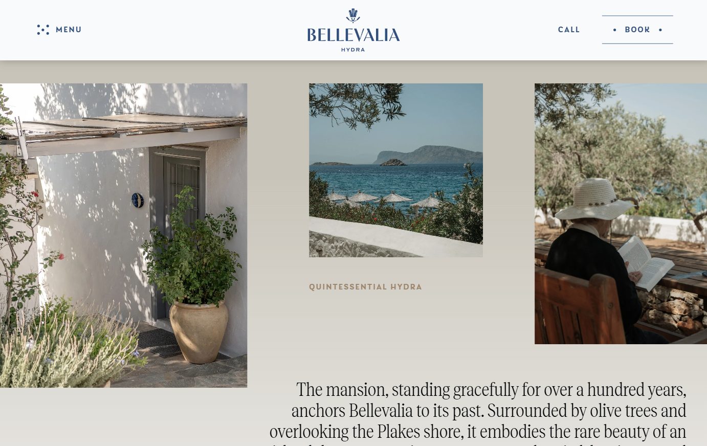 Lime Creative--Bellevalia hydra
